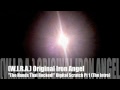 (W.I.R.A) Original Iron Angel 