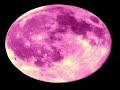 Beck - Pink Moon