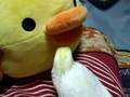 ダースベーダーを歌うオカメインコ