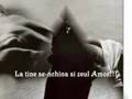  - videoclipul lui ddsv97