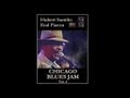 Hubert Sumlin - Rough Dried Woman