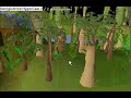 Quick Mahogany/Teak Quick Mahogany/Teak