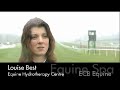 Equine Cold Spa