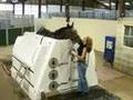 Equine Cold Spa