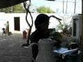 videos de 081125 2