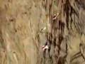 Ljudje ptice