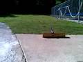cannon shoots marble no.4