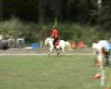 pony-games miramas 2 drapeaux CPC1
