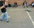 me kicking kelly in stomach