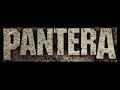 PANTERA screen 2