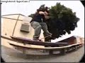 Rodney Mullen Skateboarding 411 skateboarding video