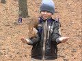 Белочки