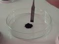 Chemistry experiment 6. - Oxydation of glycerine.