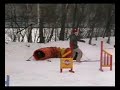 Agility Agility