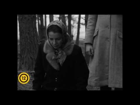 YouTube előnézeti kép