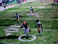 Jurevicius Punks Polamalu