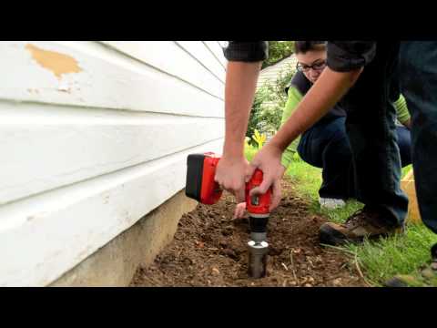 how to fertilize gladiolus
