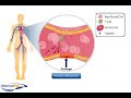 Hemostasis