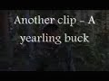 BOWHUNTING CRUELTY COMPILATION PART 2 OF 2.wmv