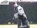 SCHUTZHUND BUFFY IMZEDRIFTS