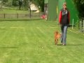 BeginnerJolaPeine   Einzelteil