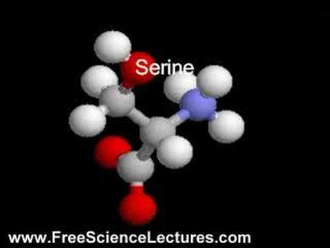 A Video of Molecules