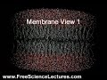 A Video of Molecules