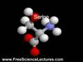 A Video of Molecules