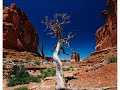 Landscpae