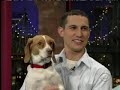 Baily Beagle