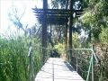californie