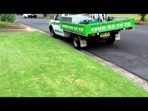 how to eliminate clover from a lawn