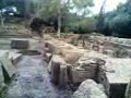 suite de la visite des ruines de tipaza
