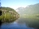 Australian Shepherd in Buntzen Lake