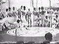 Roda do Grupo Cord�o de Ouro (1991)