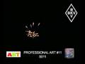Professional Art 11 - 5011