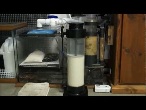 how to eliminate phosphates in aquarium