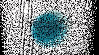 Traylor Roots & Branches