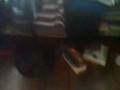 my place