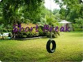 Tire Swing Lyrics Tire Swing Lyrics