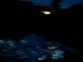 J-vla-fyllon-i-Camp-