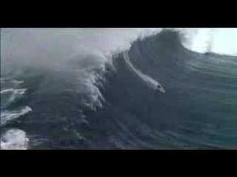 Step into - Trailer of the awesome surfin' DVD