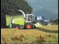 Cork Wholecrop Cork Wholecrop