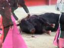 Teaser du film ALIN�A 3