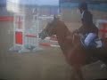 xx Onley SJ - Jump off..1m5. xx xx Onley SJ - Jump off..1m5. xx