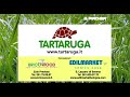 tartaruga pircher it`s my nature   