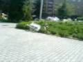 videos de Jackass F-M Jízda v nákupním vozíčku