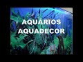 Todos os aquários são vendidos COMPLETOS E DECORADOS; com bomba submersa - compressor de  ar - lâmpadas comuns - cascalho do fundo - pedras decorativas - tronco natural - plantas artificiais e peixes.  ***  SOLICITE MOSTRUÁRIO  sergio.aquadecor@gmail.com  *** 
