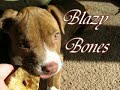 4 bongs 4 bong hits