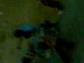 videos de Chain Gang Of Zps 3